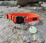 Ultrahund Play Adjustable Collar - Orange
