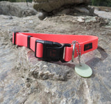 Ultrahund Play Adjustable Collar - Pink